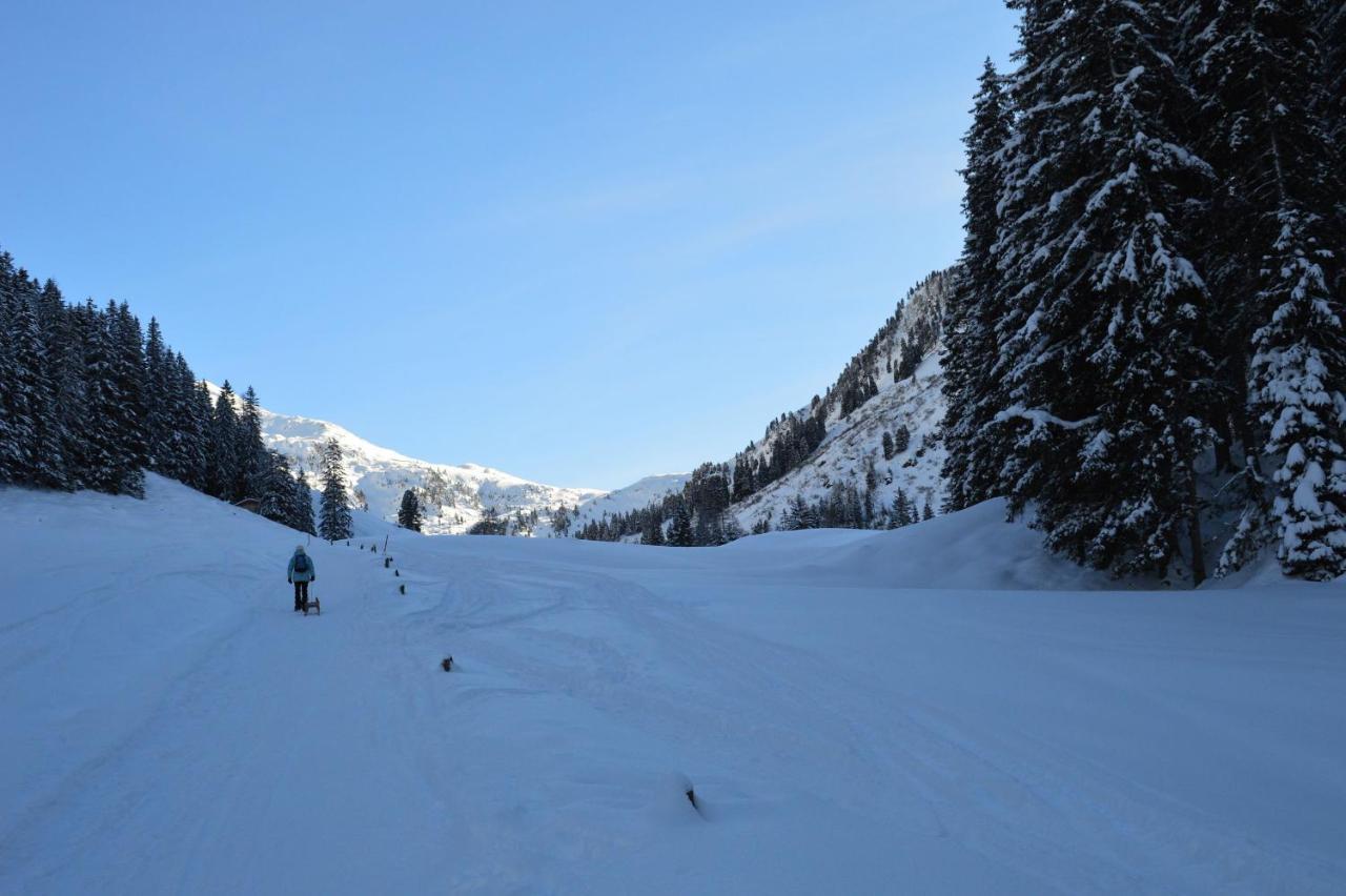 Ferienwohnungen Lehenhof Alpbach Ngoại thất bức ảnh