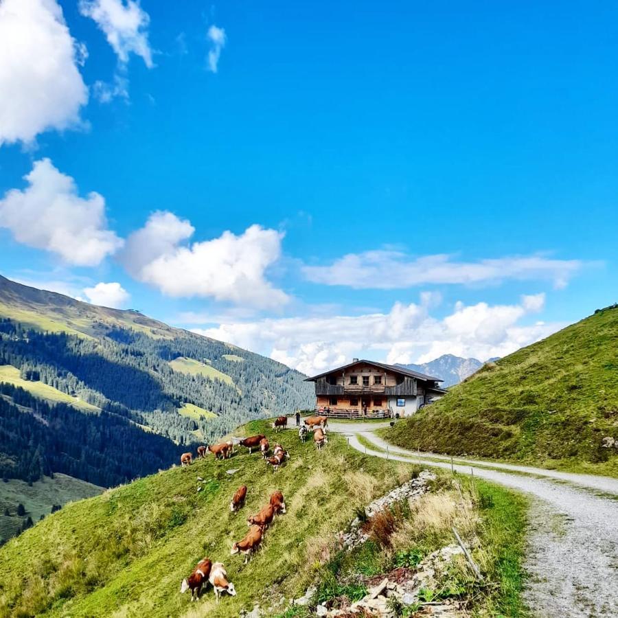 Ferienwohnungen Lehenhof Alpbach Ngoại thất bức ảnh