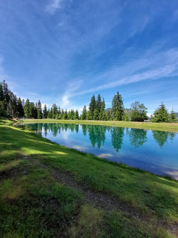 Ferienwohnungen Lehenhof Alpbach Ngoại thất bức ảnh