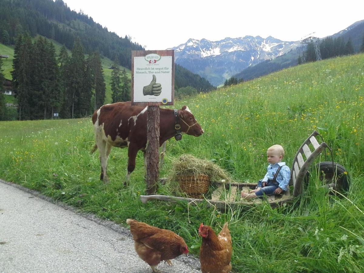 Ferienwohnungen Lehenhof Alpbach Ngoại thất bức ảnh