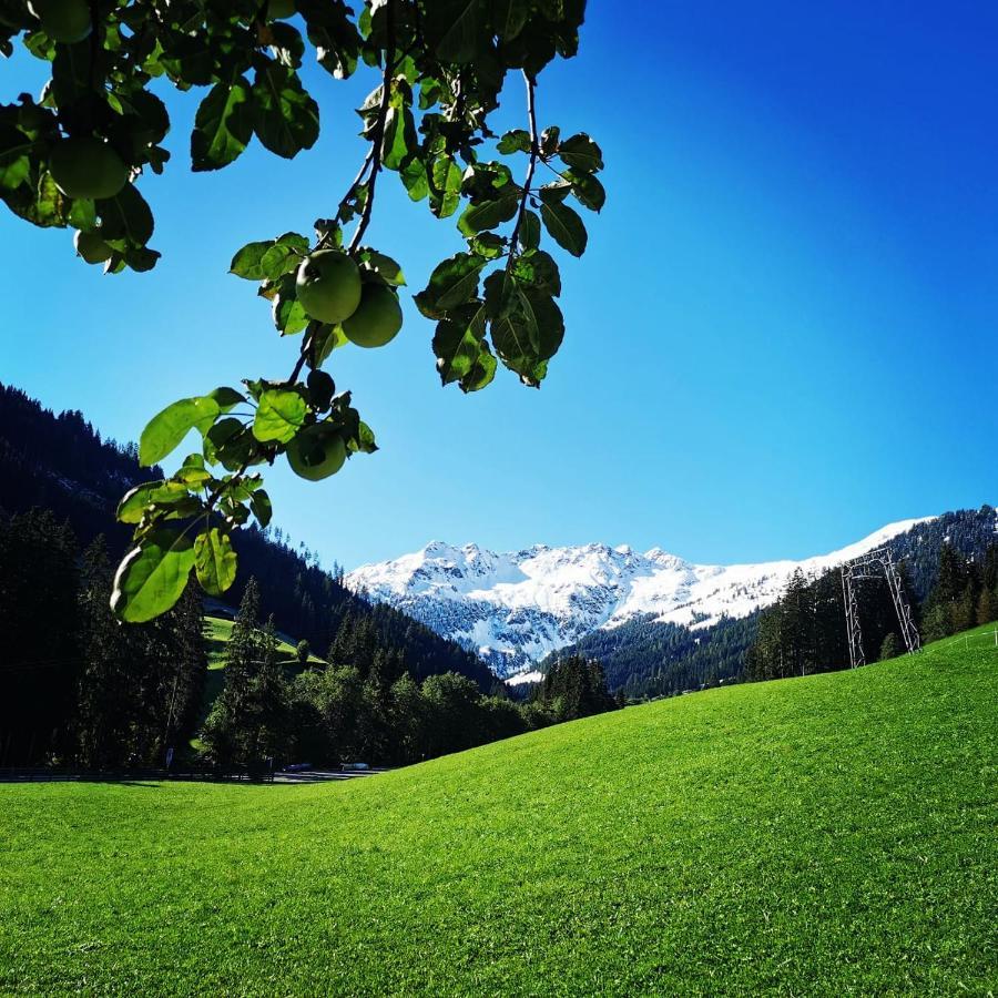 Ferienwohnungen Lehenhof Alpbach Ngoại thất bức ảnh