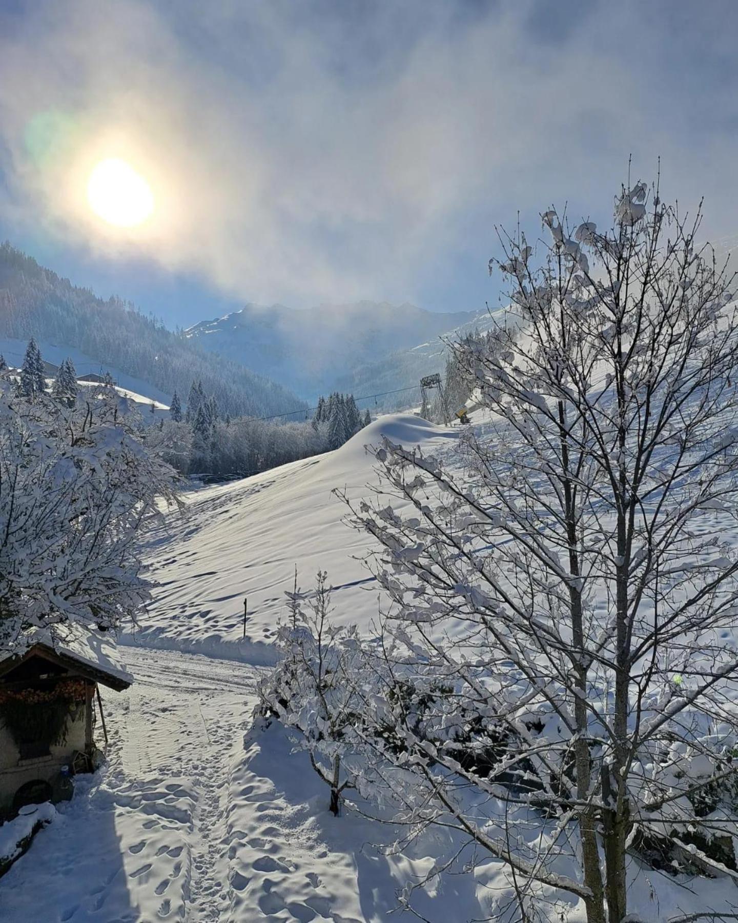 Ferienwohnungen Lehenhof Alpbach Ngoại thất bức ảnh